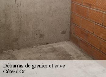 Débarras de grenier et cave 21 Côte-d'Or  Artisan Morel