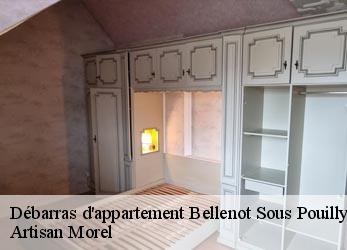 Débarras d'appartement  bellenot-sous-pouilly-21320 Artisan Morel