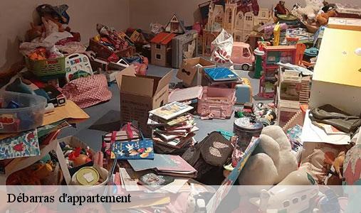 debarras-d-appartement-6