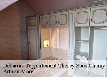 Débarras d'appartement  thorey-sous-charny-21350 Artisan Morel