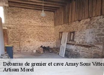 Débarras de grenier et cave  arnay-sous-vitteaux-21350 Artisan Morel