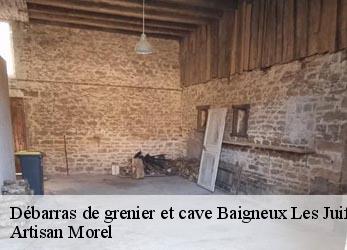 Débarras de grenier et cave  baigneux-les-juifs-21450 Artisan Morel