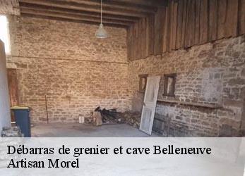 Débarras de grenier et cave  belleneuve-21310 Artisan Morel