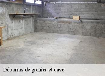 Débarras de grenier et cave  bevy-21220 Artisan Morel