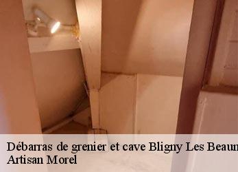 Débarras de grenier et cave  bligny-les-beaune-21200 Artisan Morel