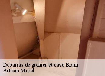 Débarras de grenier et cave  brain-21350 Artisan Morel