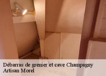 Débarras de grenier et cave  champagny-21440 Artisan Morel