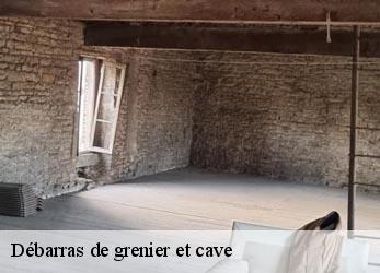 Débarras de grenier et cave  genay-21140 Artisan Morel
