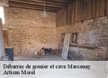 Débarras de grenier et cave  marcenay-21330 Artisan Morel
