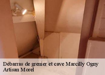 Débarras de grenier et cave  marcilly-ogny-21320 Artisan Morel