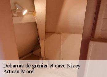 Débarras de grenier et cave  nicey-21330 Artisan Morel