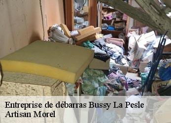 Entreprise de débarras  bussy-la-pesle-21540 Artisan Morel