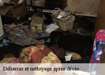 Débarras et nettoyage après décès  auvillars-sur-saone-21250 Artisan Morel