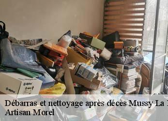 Débarras et nettoyage après décès  mussy-la-fosse-21150 Artisan Morel